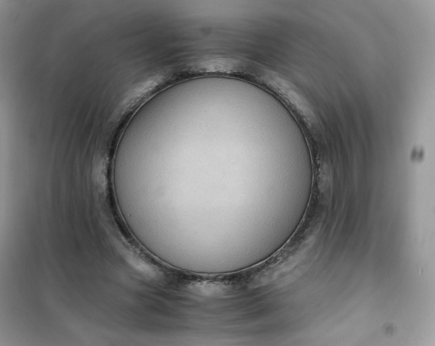 X0000102030537200808011450