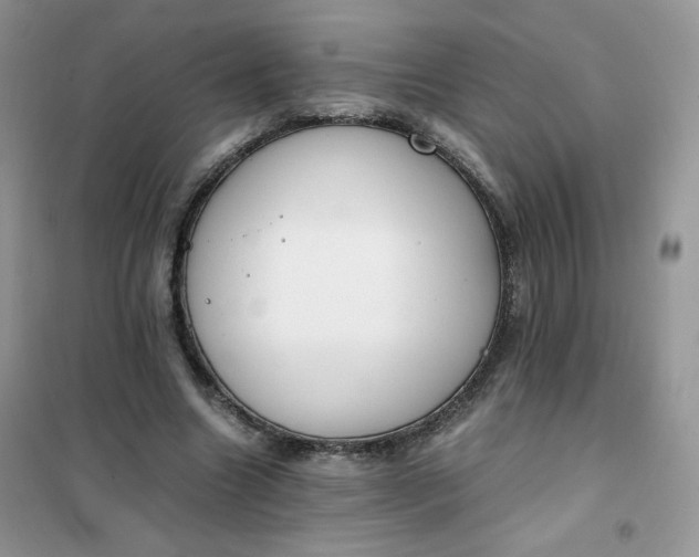 X0000102030538200808011450