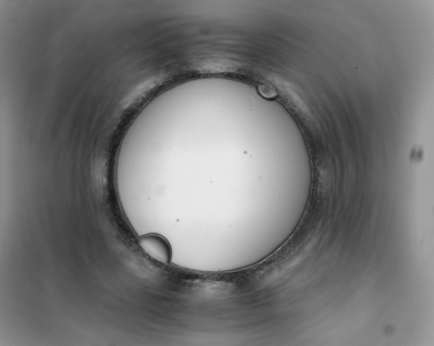 X0000102030539200808011450