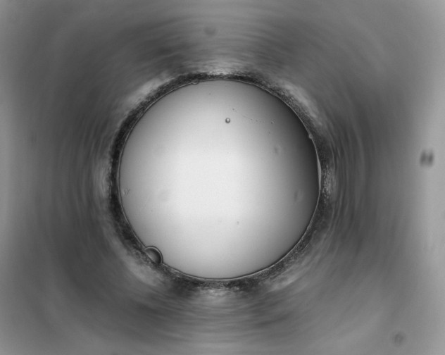 X0000102030540200808011450