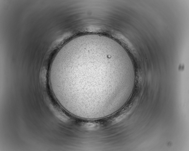 X0000102030542200808011450