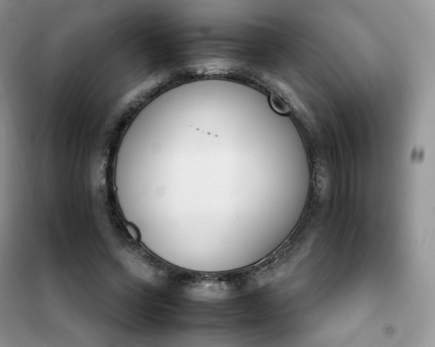 X0000102030543200808011450