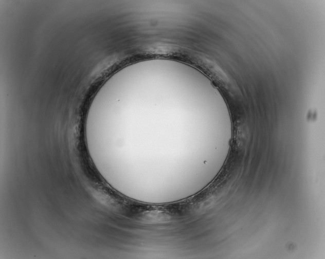 X0000102030544200808011450