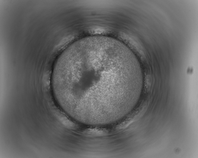 X0000102030545200808011450