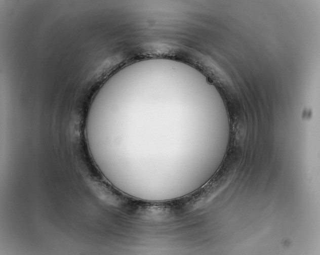 X0000102030546200808011450