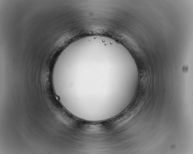 X0000102030548200808011450