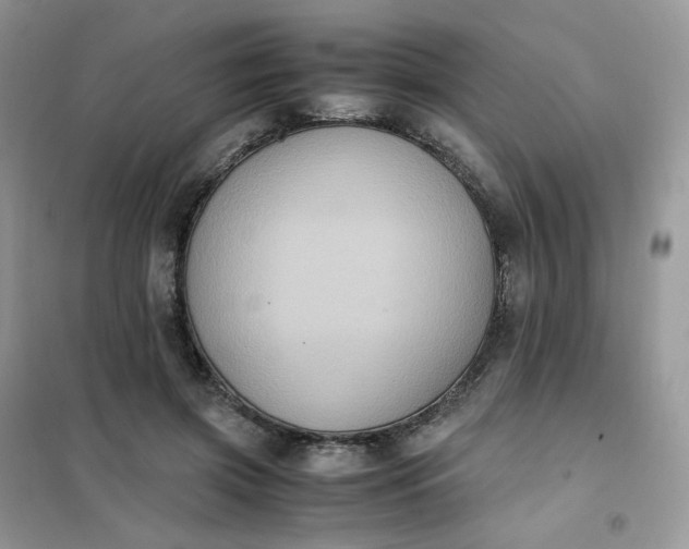 X0000102030549200808011450