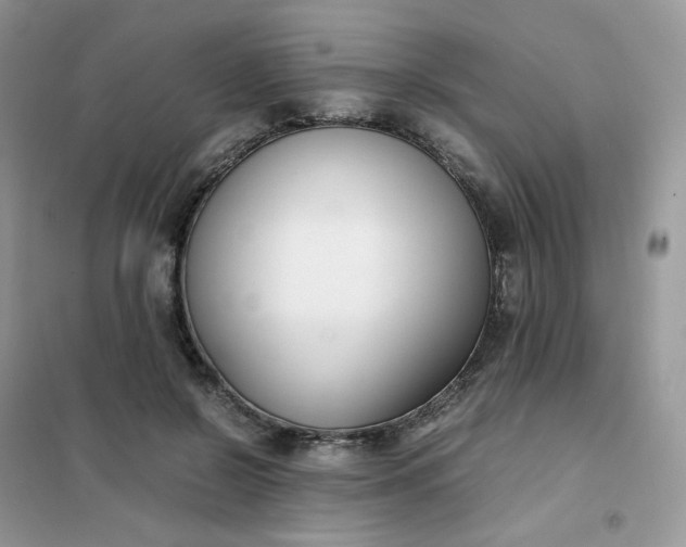 X0000102030550200808011450