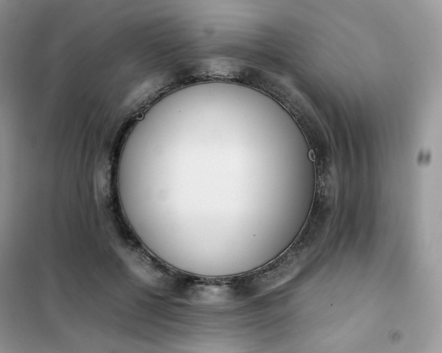 X0000102030552200808011450