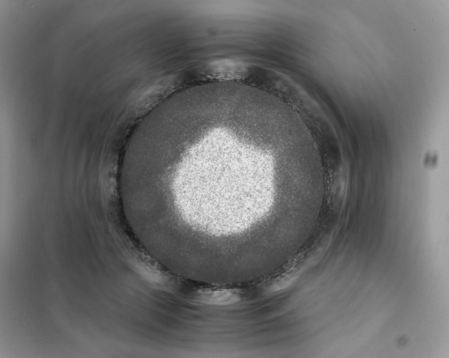 X0000102030553200808011450