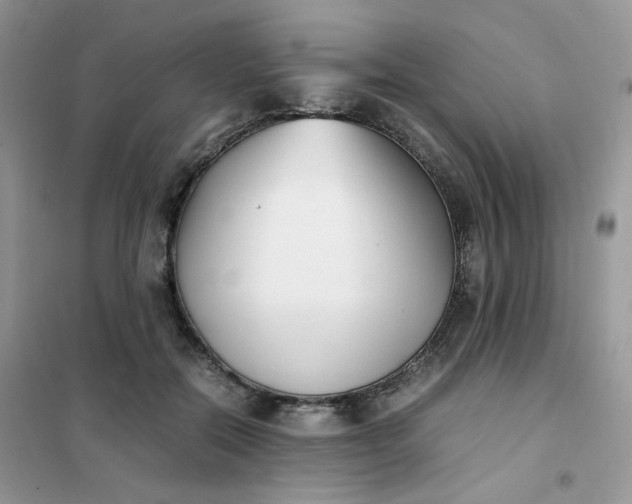 X0000102030554200808011450