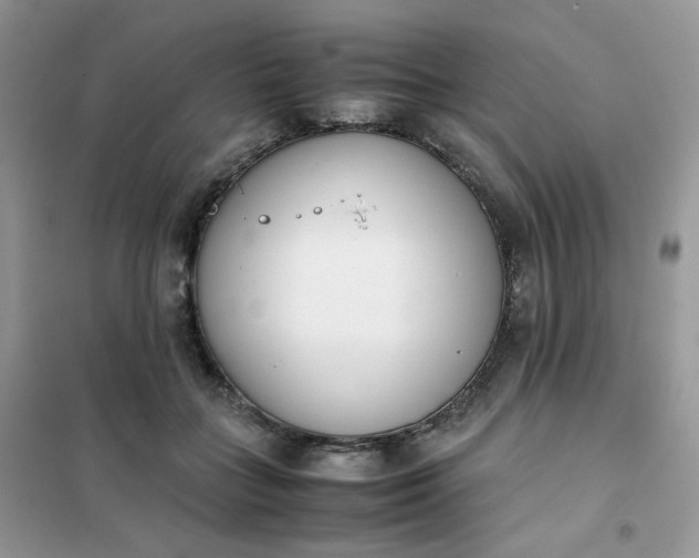 X0000102030555200808011450