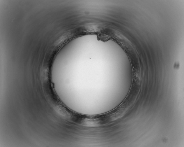 X0000102030556200808011450