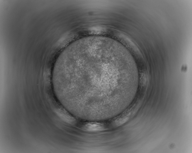 X0000102030557200808011450