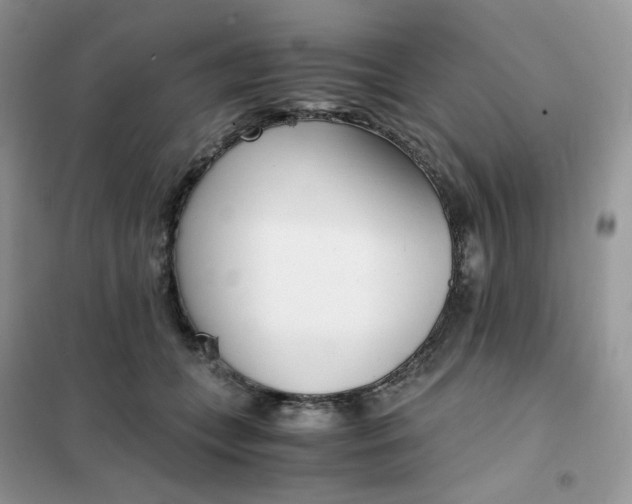 X0000102030559200808011450