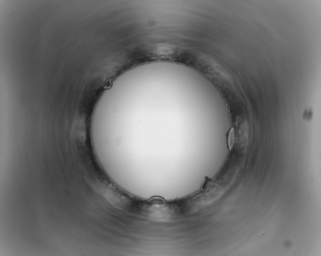 X0000102030562200808011450