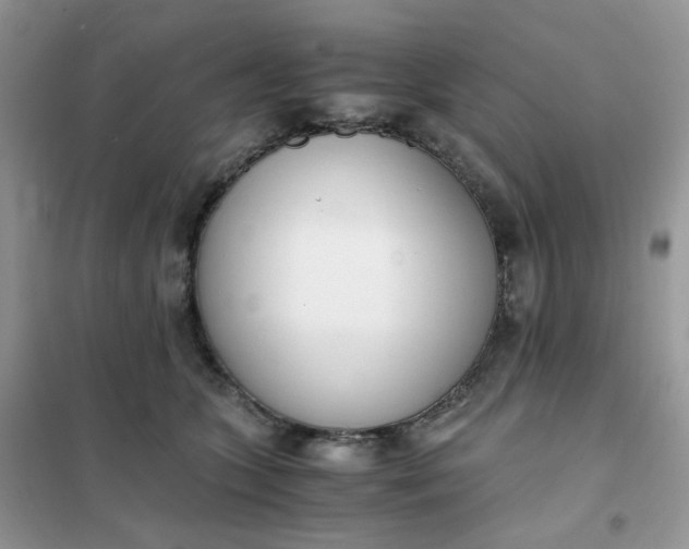 X0000102030563200808011450