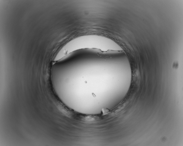 X0000102030566200808011450