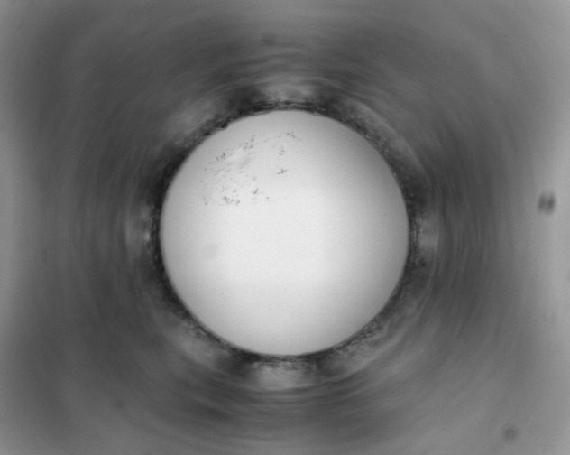 X0000102030567200808011450