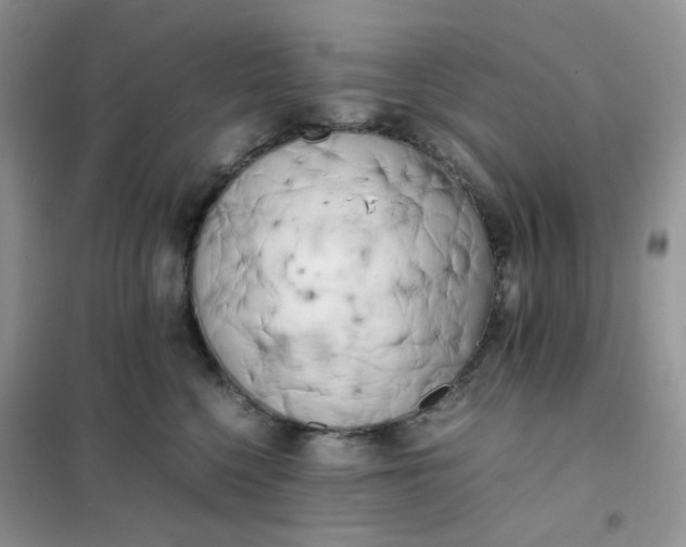 X0000102030568200808011450