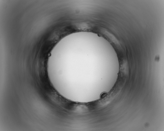 X0000102030572200808011450