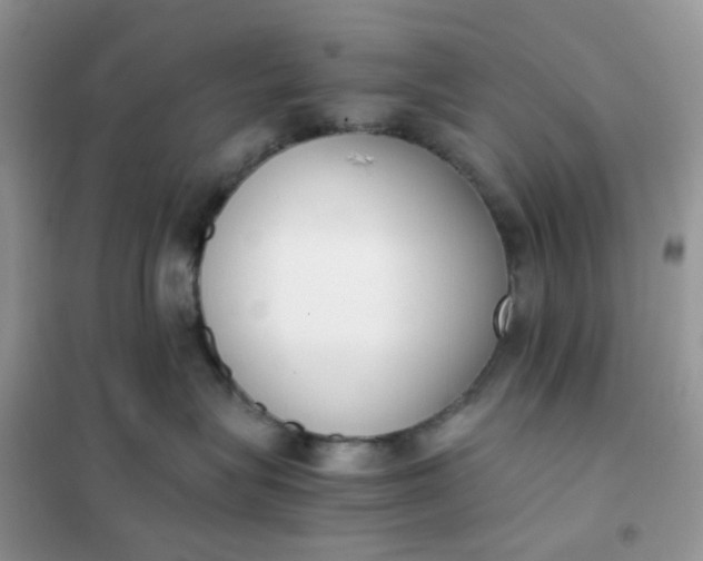 X0000102030575200808011450