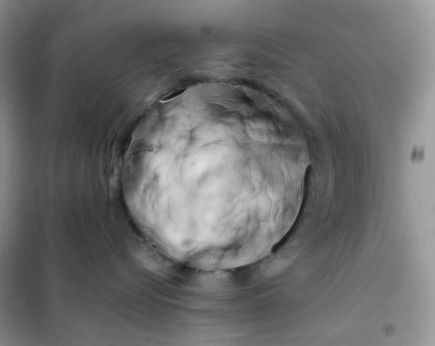 X0000102030576200808011450