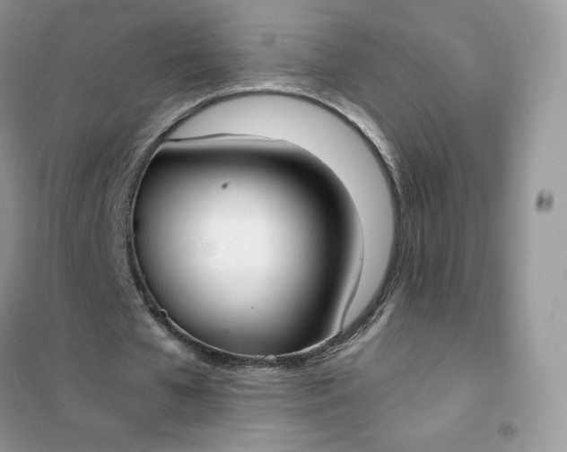 X0000102030577200808011450