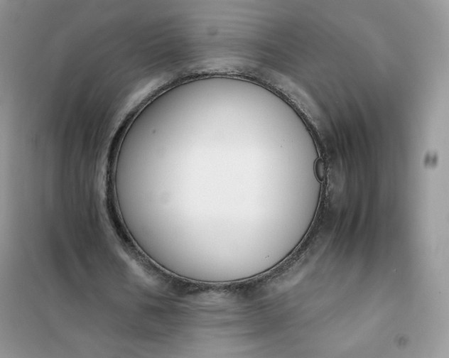 X0000102030578200808011450