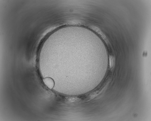 X0000102030579200808011450