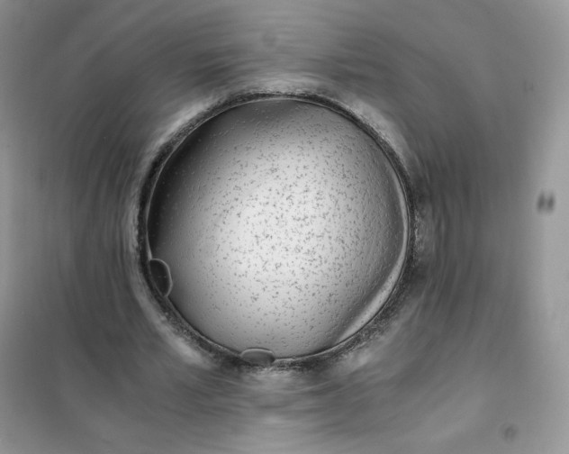 X0000102030581200808011450