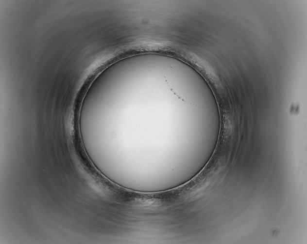 X0000102030582200808011450