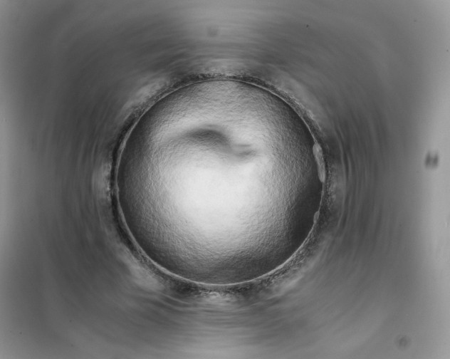 X0000102030585200808011449