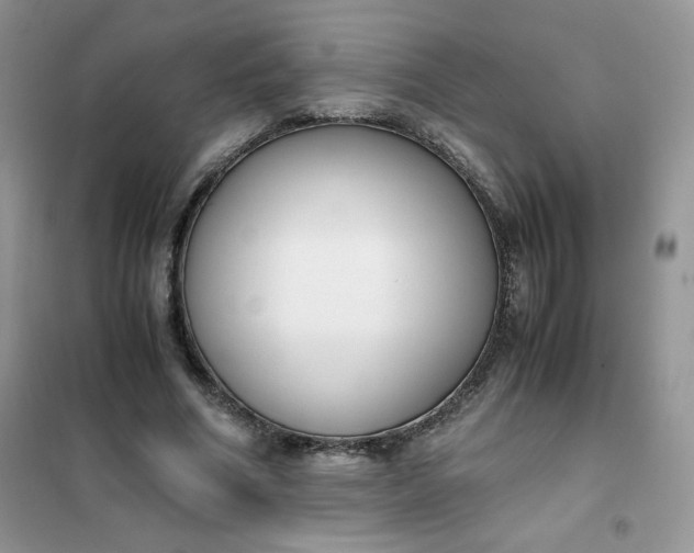 X0000102030586200808011449