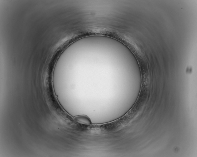 X0000102030587200808011449