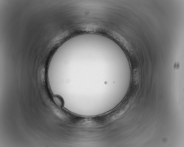 X0000102030589200808011449