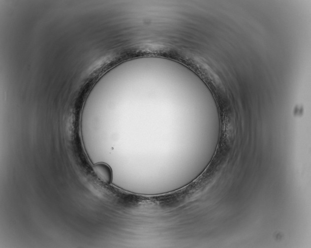 X0000102030591200808011449