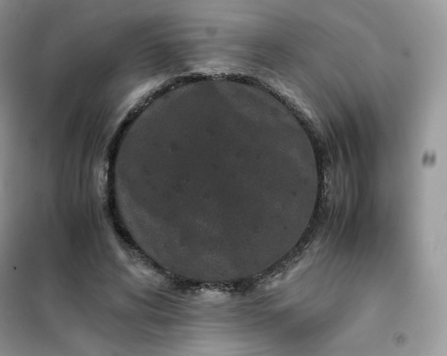 X0000102030592200808011449