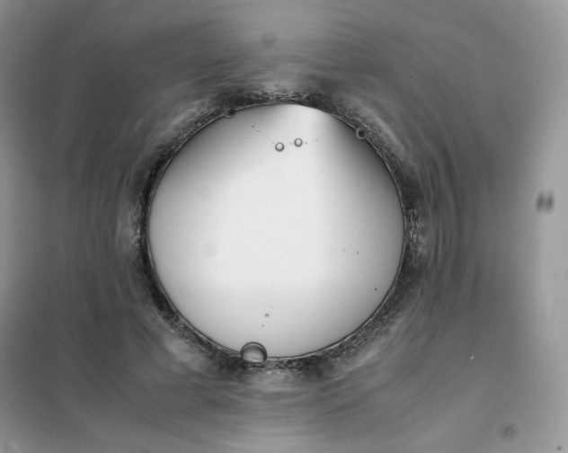 X0000102030593200808011449