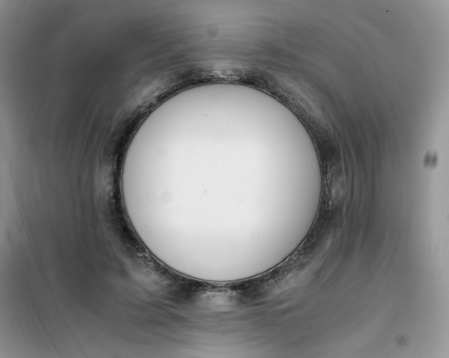 X0000102030595200808011449