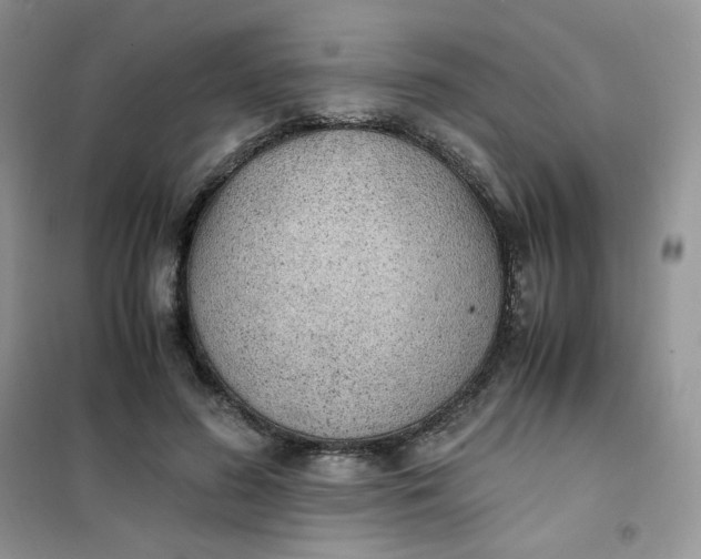 X0000102030596200808011449