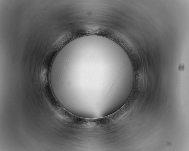 X0000102030598200808011449