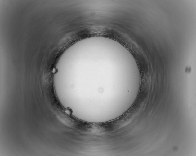 X0000102030601200808011449