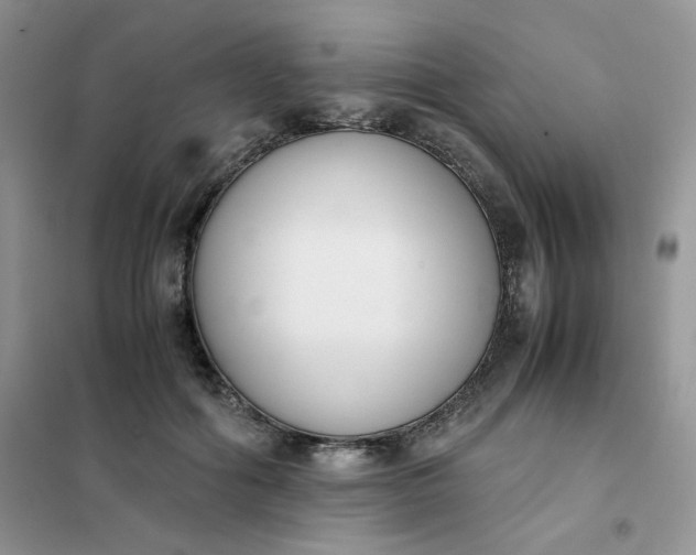 X0000102030602200808011449