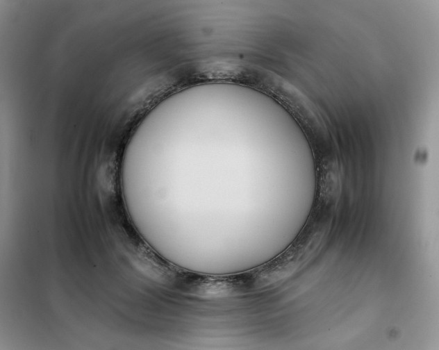 X0000102030604200808011449