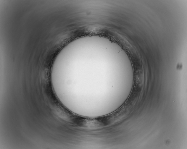 X0000102030605200808011449