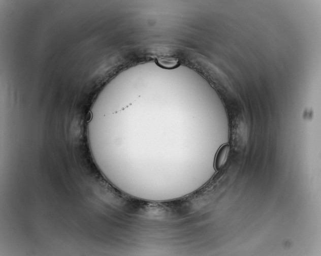 X0000102030608200808011449