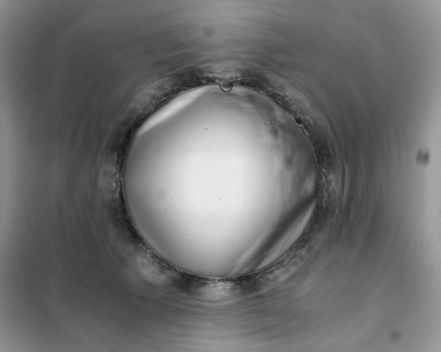 X0000102030609200808011449