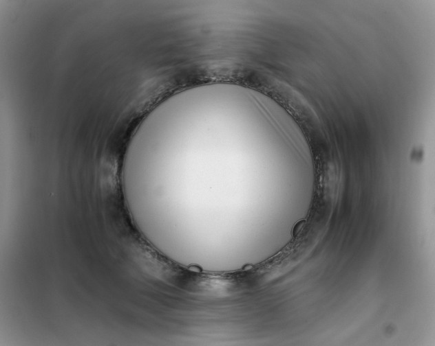 X0000102030610200808011449