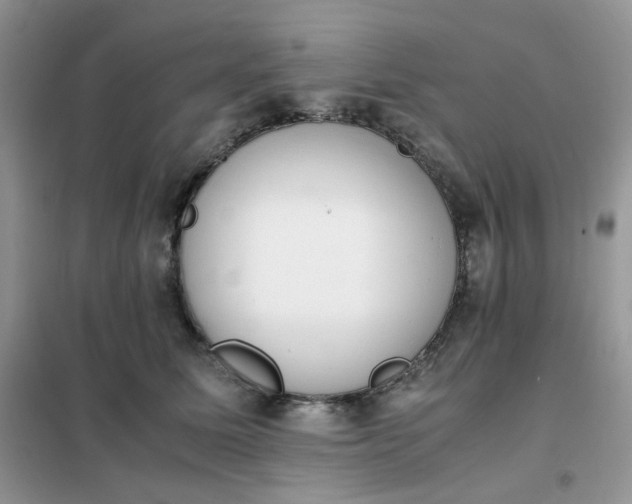 X0000102030611200808011449